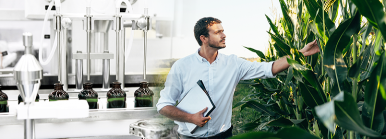 Mature bearded man working with plants