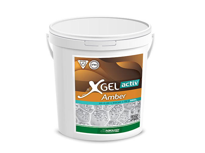 XGel® activ Amber