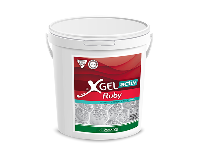 XGel® activ Ruby