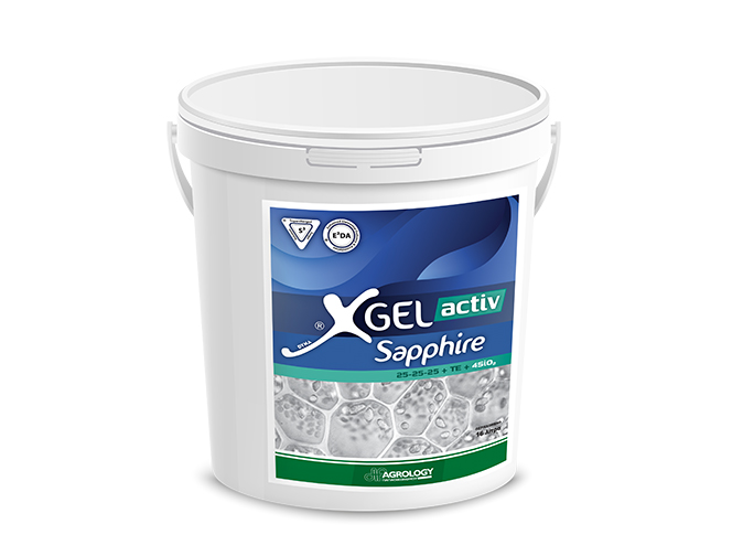 XGel® activ Sapphire