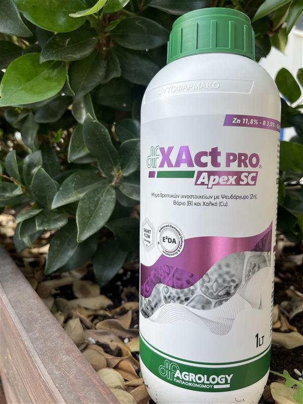 XAct® PRO Apex SC product image