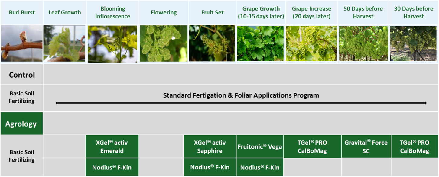 Plant Nutrition Program table grapes