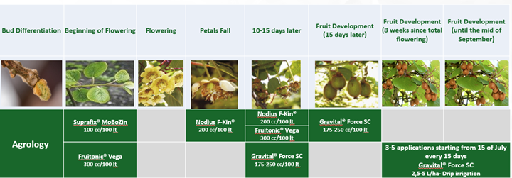 Picture 1. Plant Nutrition Program
