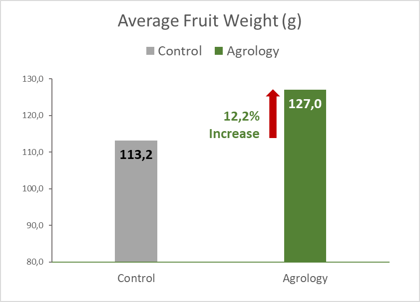 Figure 1. Average Fruit Weight in Control and Agrology Functional Crop Nutrition Program 