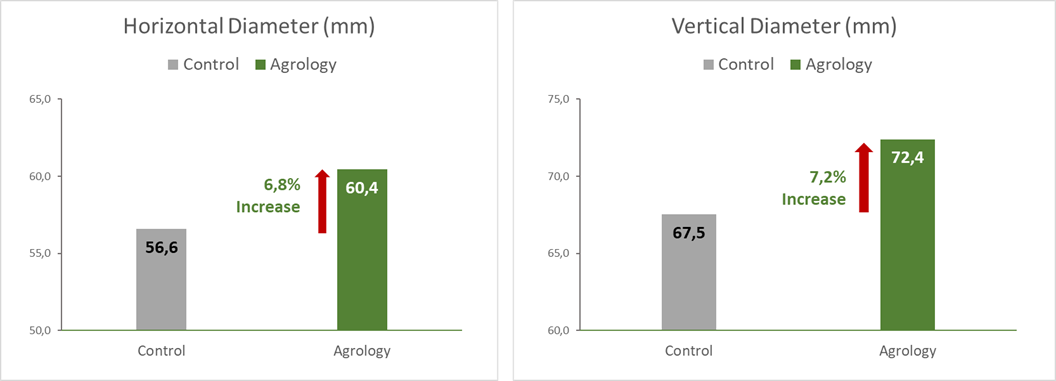 Figure 2 & 3. Average Fruit Size (Horizontal & Vertical diameter) in Control and Agrology Functional Crop Nutrition Program 