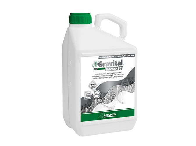 Gravital® Vector SC