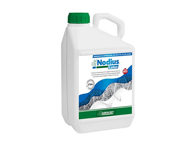 Nodius® Lotus