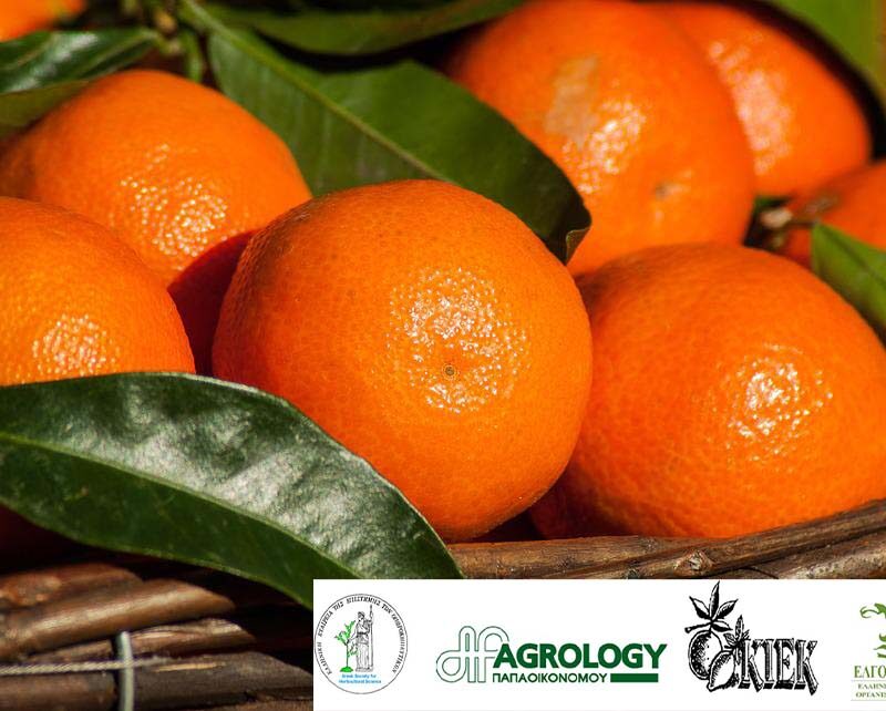 Agrology Success Stories: Improvement in Quality Characteristics in Mandarin