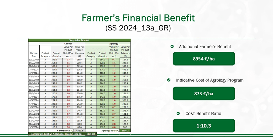 farmer's financial benefit - greenhouse cucumber