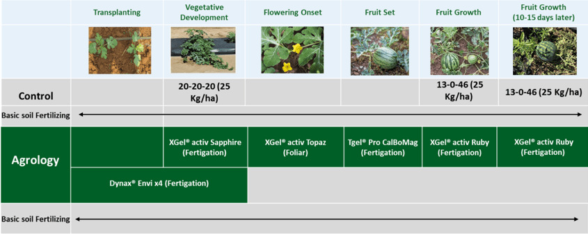 AGROLOGY-Functional-Crop-Nutrition®-Program-Watermelon-1