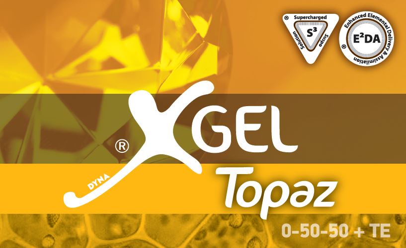 XGel Topaz σε Μανταρίνι