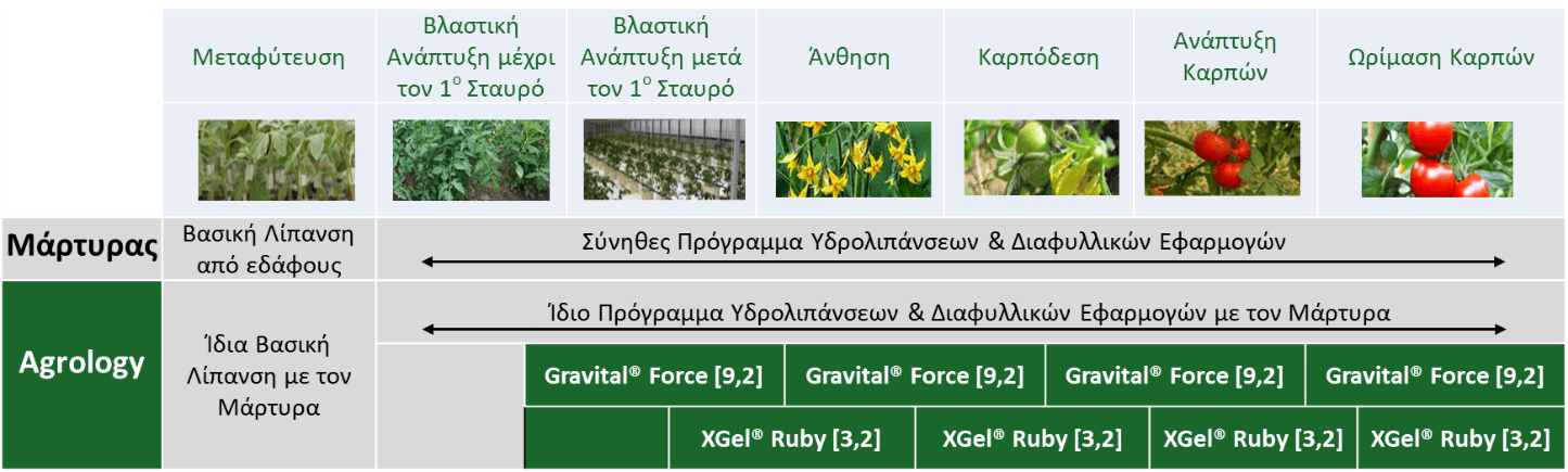 Εικόνα-2.-Πρόγραμμα-Εφαρμογών σε Τομάτα Θερμοκηπίου