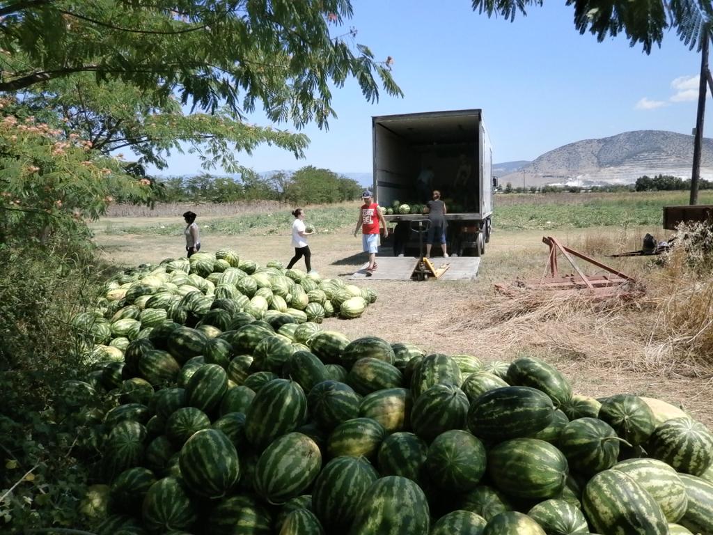 Agrology – Δωρεά στο Κοινωνικό Παντοπωλείο Βόλου 3
