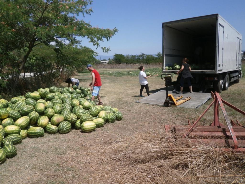 Agrology – Δωρεά στο Κοινωνικό Παντοπωλείο Βόλου 4