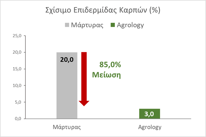Εικόνα-4.-Με-την-εφαρμογή-του-Gravital®-Force-SC