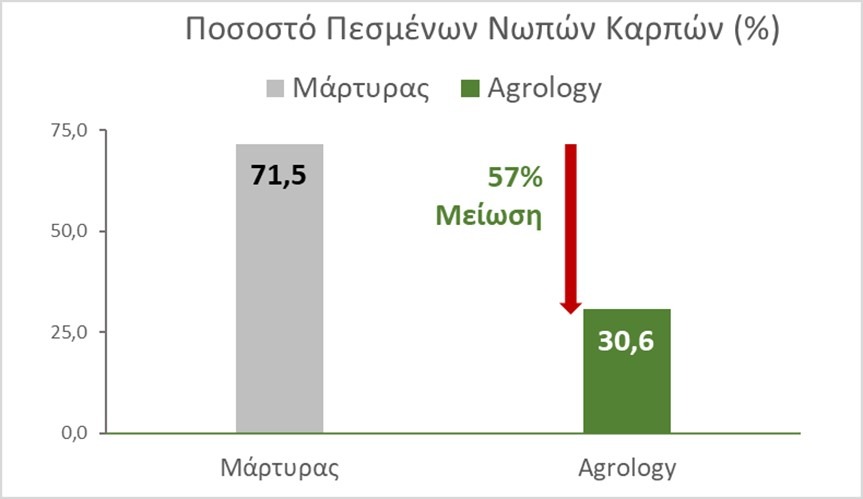 Εικόνα 8. Ποσοστό Πεσμένων Νωπών Καρπών στη Μεταχείριση Agrology και στον Μάρτυρα