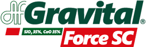 gravital force old logo