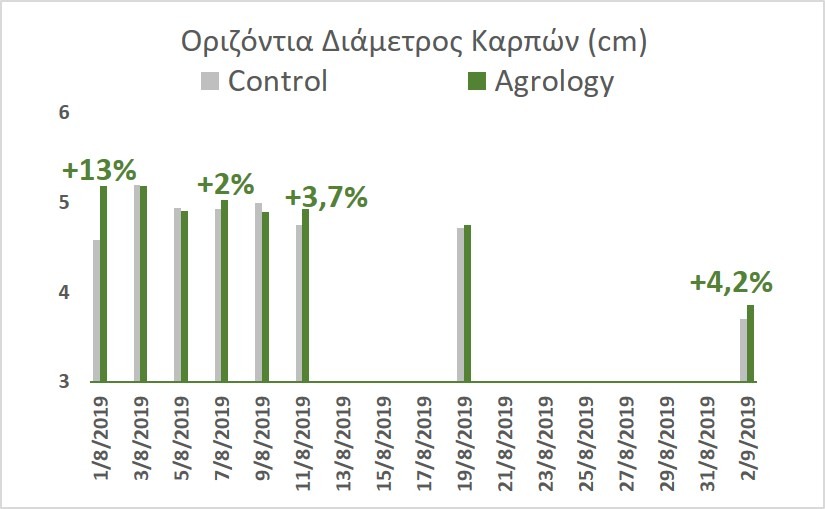 Εικόνα-4.-Οριιζόντια-Διάμετρος-Καρπών-Νωπά Σύκα