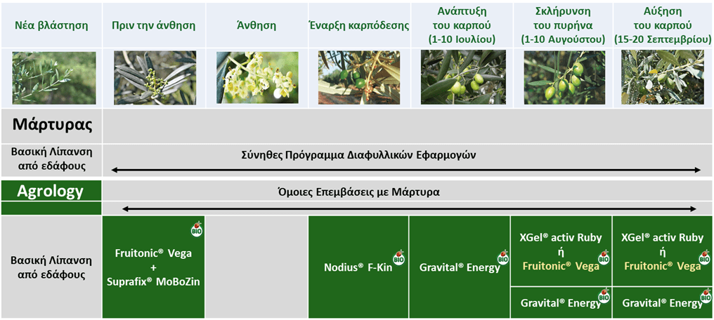 Πρόγραμμα Λειτουργικής Θρέψης Καλλιεργειών® Ελαιοποιήσιμη Ελιά