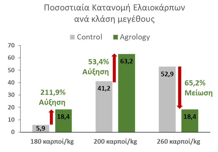 Εικόνα 3. Ποσοστιαία Κατανομή Ελαιοκάρπων ανά κλάση μεγέθους