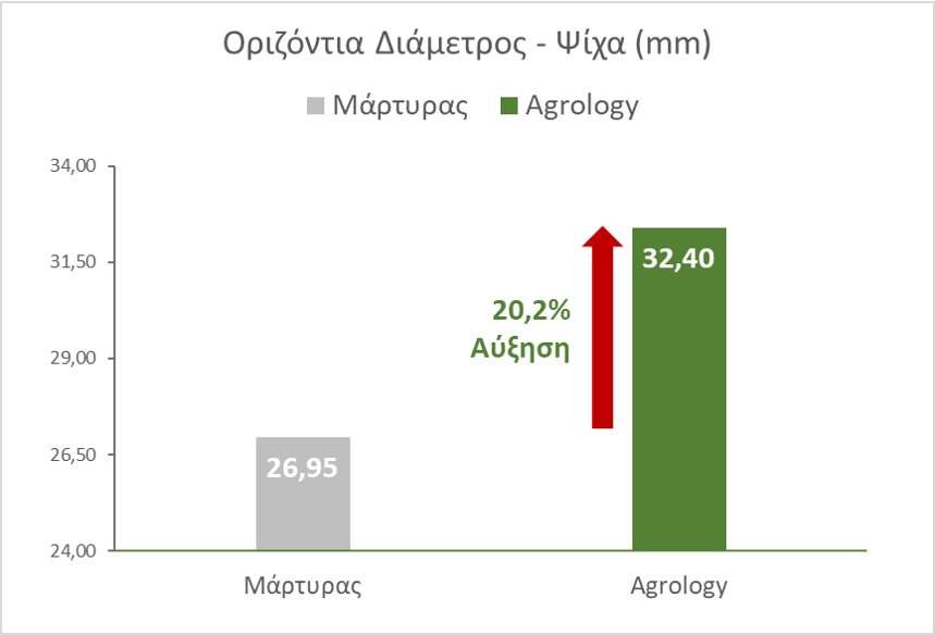 Εικόνα 6. Οριζόντια Διάμετρος - Ψίχα (mm). Με την εφαρμογή του προγράμματος Agrology, επετεύχθη αύξηση της Οριζόντιας Διαμέτρου ψίχας κατά 5,45 mm (+20,2%), συγκριτικά με τον Μάρτυρα.