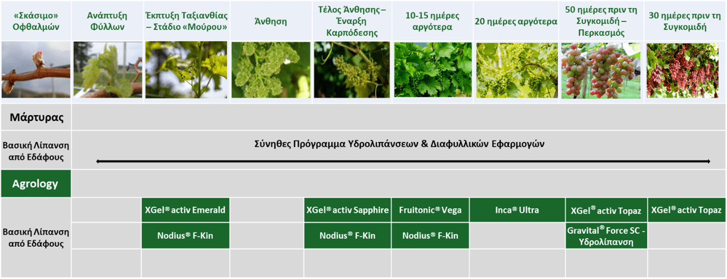 Εικόνα 3. Πρόγραμμα Λειτουργικής  Θρέψης Καλλιεργειών® Θρέψης στην καλλιέργεια αμπελιού για ερυθρές ποικιλίες