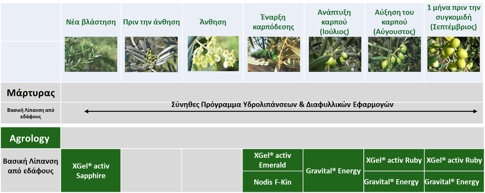 Εικόνα 2. Πρόγραμμα Θρέψης στην Επιτραπέζια Ελιά