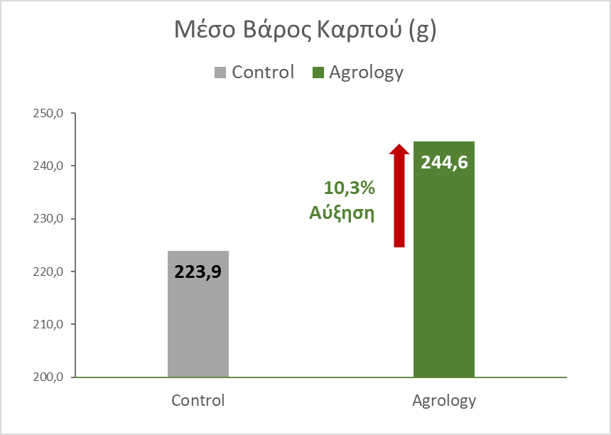 Εικόνα 3. Μέσο Βάρος Καρπών (g). Με την εφαρμογή του Προγράμματος Agrology, επιτεύχθηκε αύξηση του μέσου βάρους καρπών κατά 20,7 g (+10,3 %), συγκριτικά με τον Μάρτυρα.