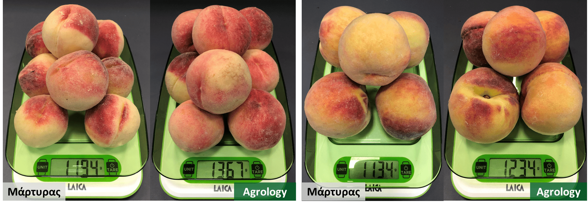 Εικόνα 4. Καρποί από επιτραπέζια ροδάκινα