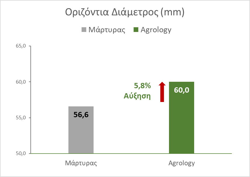 Εικόνα 5. Οριζόντια Διάμετρος Καρπού