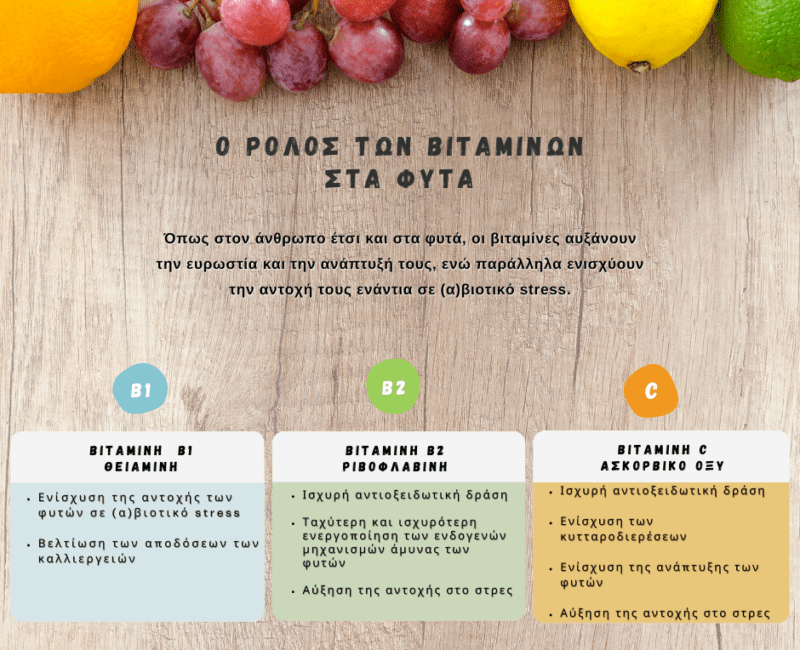 Εικόνα 1. Οι βιταμίνες φυτών και ο ρόλος τους