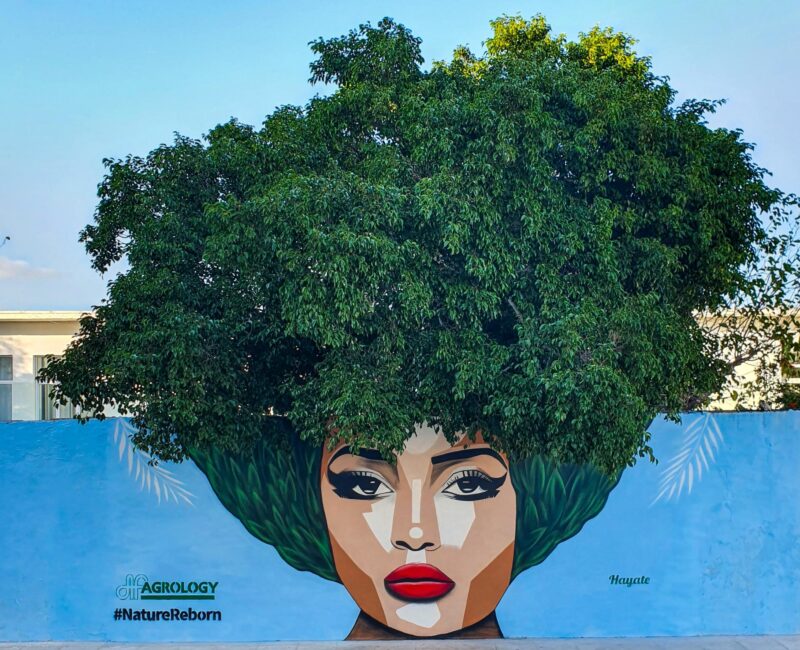 Nature Reborn be AGROLOGY στο 1ο γυμνάσιο Ιεράπετρας