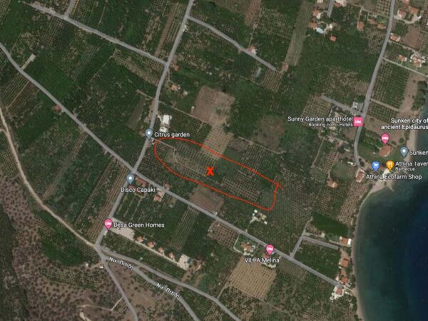 Εικόνα 5. Ο πειραματικός εσπεριδοειδώνας στην περιοχή της Νέας Επιδαύρου Αργολίδας