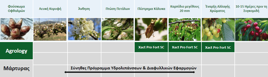 Πρόγραμμα Λειτουργικής Θρέψης Καλλιεργειών® - Κεράσι