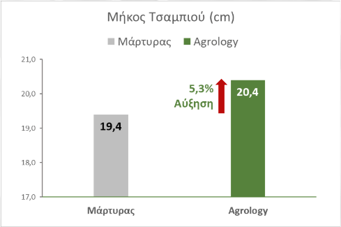 Μήκος τσαμπιού Οινοποιήσιμο Σταφύλι